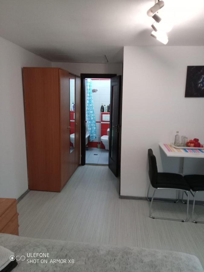 Apartament Cu Un Dormitor Spatios In Centrul Cluj-Napoca Exterior foto