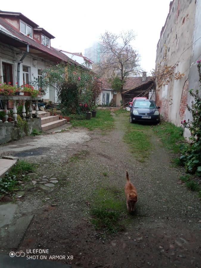 Apartament Cu Un Dormitor Spatios In Centrul Cluj-Napoca Exterior foto